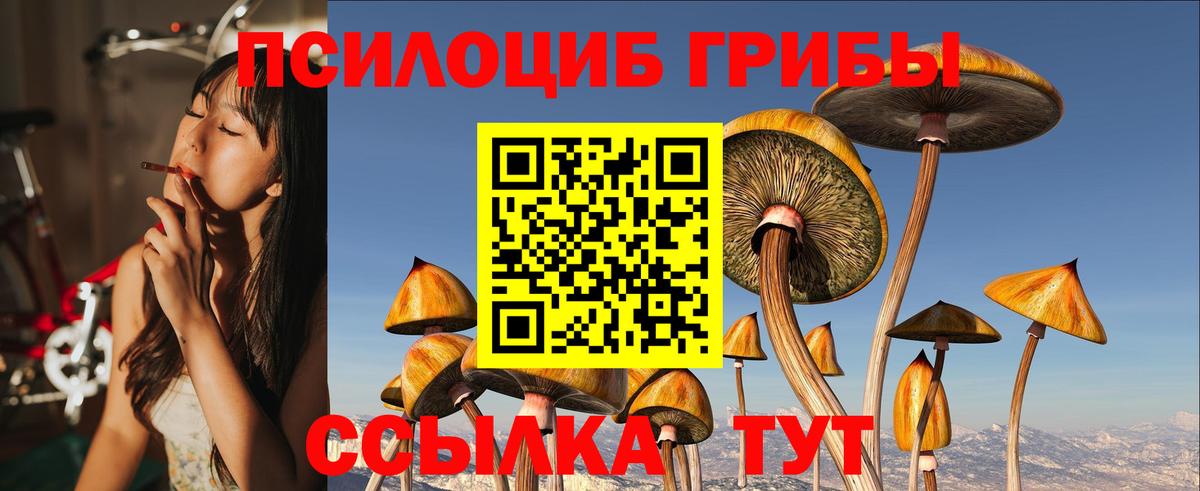 Псилоцибиновые грибы Psilocybine cubensis  наркота  Галлюциногенные грибы Psilocybe  Ачхой-Мартан  Вход с VPN 